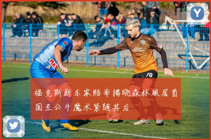 福克斯新东家赔率揭晓森林狼居首国王公牛魔术紧随其后